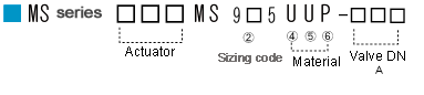 MS CODE