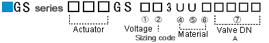 GS CODE