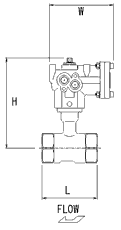 AE GAIKEI