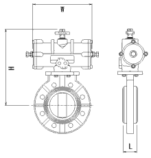 FP GAIKEI